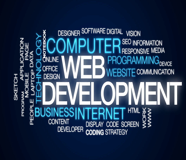Professional Web Development